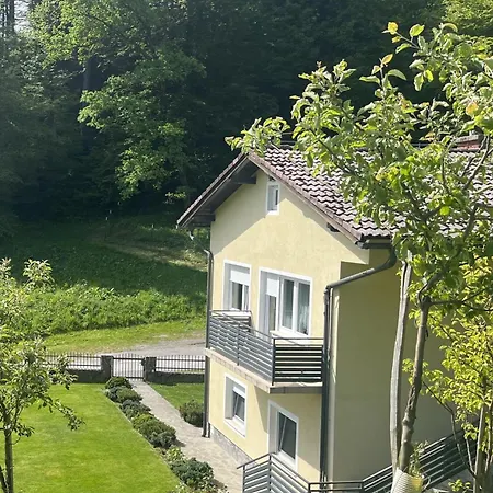 Apartma Movrin Kamnica Exterior photo